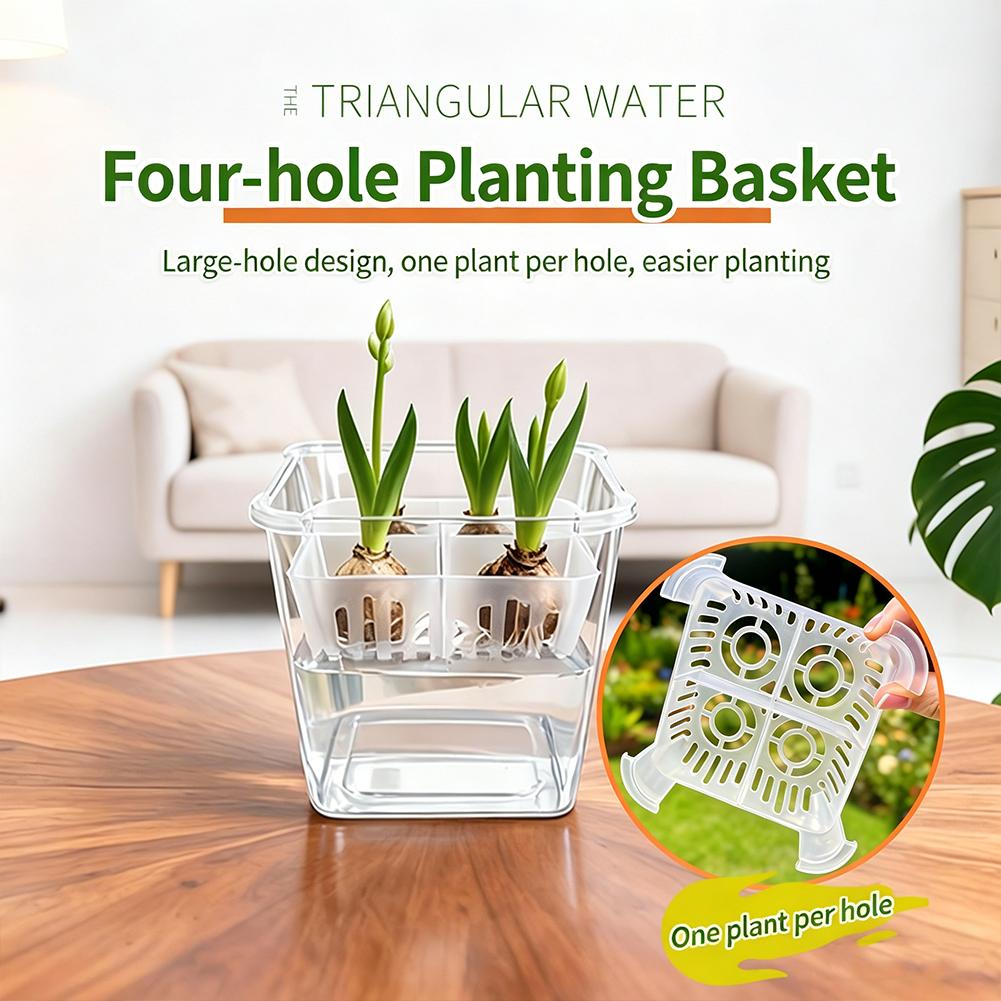 Net Pot 3 Inch - 1pcs Hydroponic Planter Tulip Bulb Planter