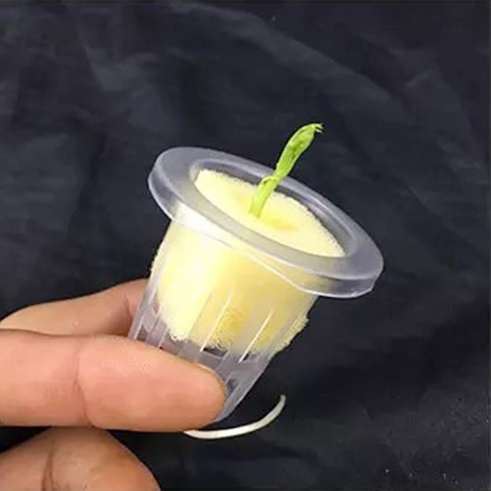 10Pcs Hydroponic Mesh Cups Gar - Net Pot 3 Inch 评论和价格