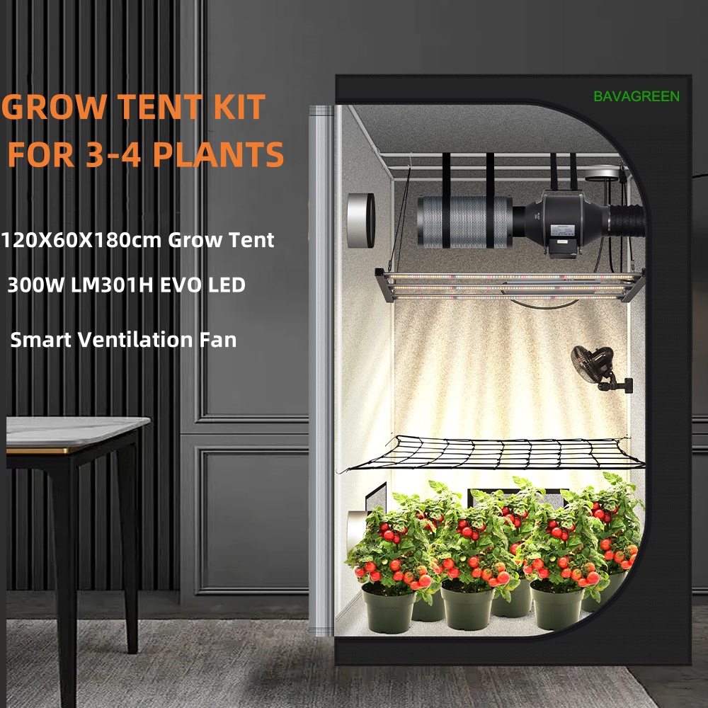 2024 New 120x60x180cm Growzelt - Grow Tent 4X4 评论和价格