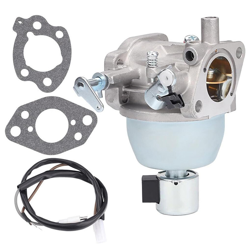 Carburetor Kits with Gaskets f - Urban Farming Kit 评论和价格