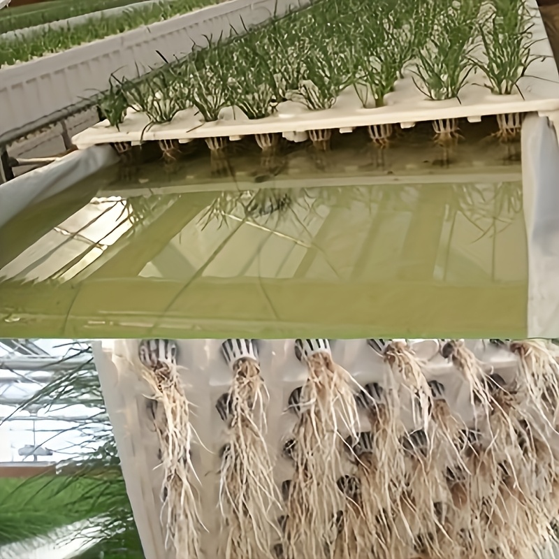 10pcs Hydroponic Seedling Bask - Net Pot 3 Inch 评论和价格