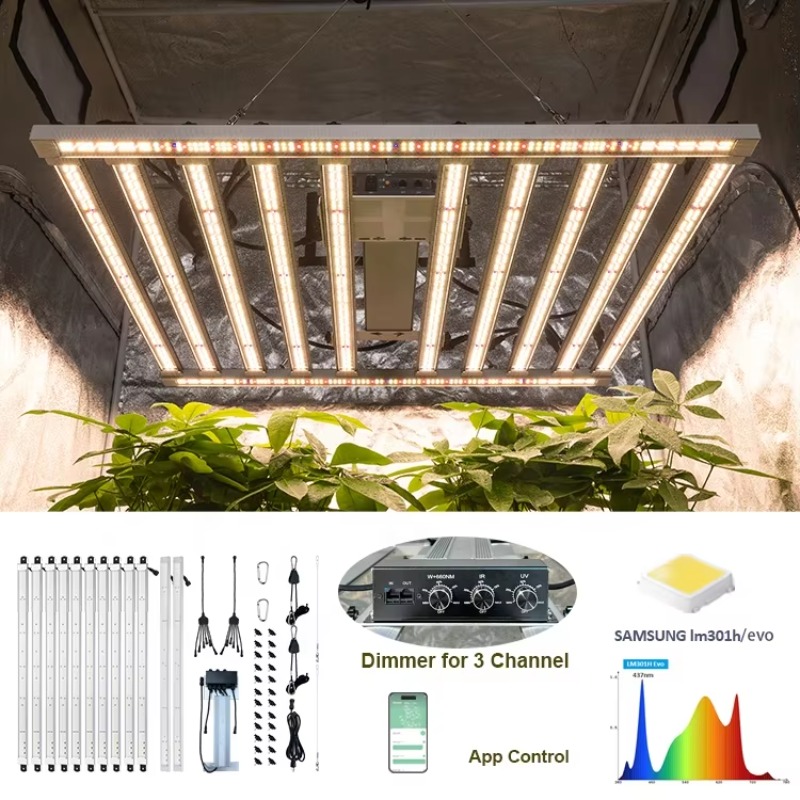 4x4 Growing Tent Complete Kit  - Grow Tent 4X4 评论和价格