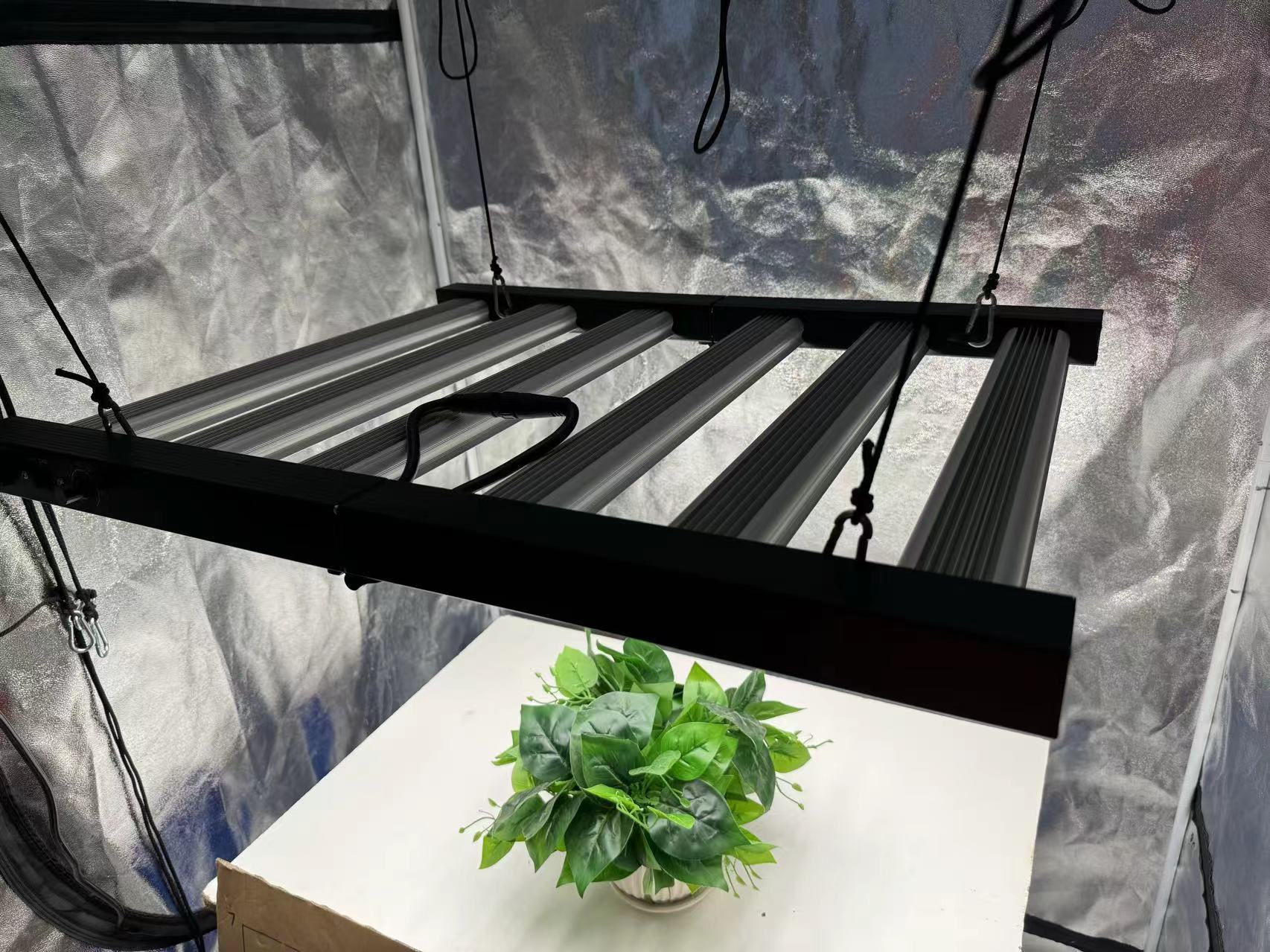 4x4 Grow Tent Complete Kit, In - Grow Tent 4X4 评论和价格