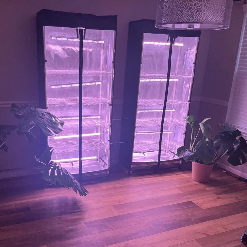 Removable vegetable and mushro - Grow Tent 4X4 评论和价格