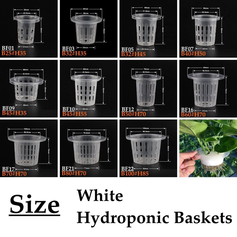 10Pcs White Hydroponic Soilles - Net Pot 3 Inch 评论和价格